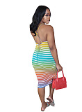 Rainbow Zebra Skinny Cami Dress OMY8036
