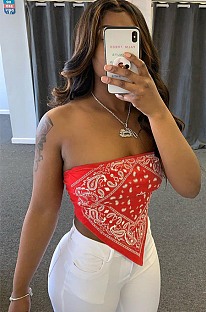 Red Scarf Graphic Print Off Shoulder Bandeau Top DN8383