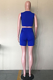 Blue Casual Sleeveless Round Neck Tank Top Shorts Sets D8278