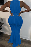 Blue Casual Polyester Sleeveless Round Neck Mid Waist Long Dress BBN095
