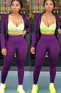 Purple Casual Polyester Long Sleeve Pure Color Zipper Front Hoodie Long Pants Sets LY5847