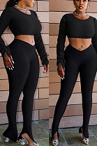 Black Casual Polyester Long Sleeve Round Neck Ruffle Crop Top Long Pants Sets HH8926