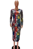 Multi Casual Polyester Long Sleeve Round Neck Mid Waist Long Dress AA5109
