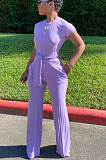 Purple Casual Polyester Short Sleeve Round Neck Waist Tie Romper N9213