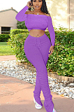 Purple Casual Polyester Long Sleeve Utility Blouse Flare Leg Pants Sets SN3858
