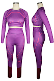 Purple Casual Polyester Long Sleeve Round Neck Tee Top Long Pants Sets QQM4087