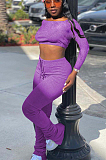 Purple Casual Polyester Long Sleeve Utility Blouse Flare Leg Pants Sets SN3858