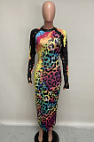 Casual Polyester Leopard Long Sleeve Round Neck Spliced High Waist Long Dress Q660