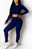 Casual Sexy Long Sleeve Halterneck Tee Top Tailored Pants Sets HG062
