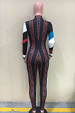 Basics Elegant Sexy Long Sleeve Round Neck Contrast Panel Bodycon Jumpsuit ORY5170