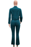 Green Casual Polyester Long Pants SN3897