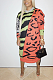 Casual Cute Simplee Leopard Long Sleeve Long Dress YY5225