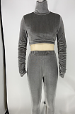 Casual Long Sleeve High Neck Crop Top Long Pants Sets X9270