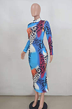 Sexy Leopard Long Sleeve Round Neck Long A Line Dress ED8335