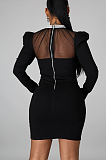 Elegant Polyester Long Sleeve Round Neck Mid Waist Mini Dress FFE068