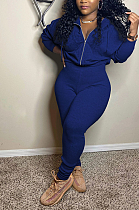 Casual Polyester Long Sleeve V Neck Ruffle Zipper Bodycon Jumpsuit RZ1050