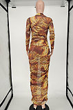 Fashion Womenswear Net Yarn  Perspective Sexy Printing Long Dress NL6042