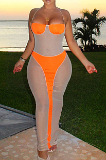 Sexy Perspective Stretch Net Splicde Beach Long Dress ZS0385