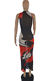 Women Perspective Print Net Yarn Long Dress SQ956