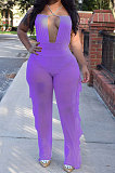 Personality Pure Color Net Yarn Jumpsuits Two-Pieces AYL88801