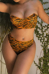Tiger Pattern Sexy Trendy Casual Two Pieces Swimsuits AFM2030