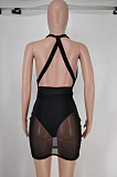 Black Euramerican Sexy Net Yarn Perspctive Slim Fitting Dress A8609-1