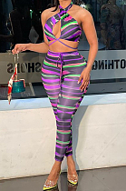 Purple Fashion Knotted Strap Stripe Sexy Two Piece SYY8067-2