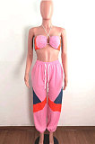 Pink Sexy Sport Colorful Zip Back Strapless+Banded Pantd Casual Sets QZ7001-4