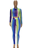 Blue Colorful Long Sleeve High Neck Crop Top Pencil Pants Hollow Out See-Through Sets YT3290-3