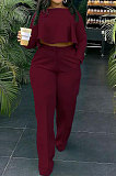 Purple Fashion Wholesale Long Sleeve Irregularity Tops Wide Leg Pants Slim Fitting Sets D8454-5