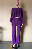 Purple Fashion Wholesale Long Sleeve Irregularity Tops Wide Leg Pants Slim Fitting Sets D8454-5