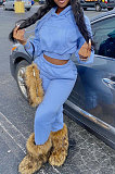 Gray Euramerican Women Fashion Pure Color Velvet Hoodde Fleece Pants Sets AA5285-3