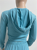 Sky Blue Euramerican Women Autumn Pure Color Zipper Hooded Top Ruffle Pants Sets XQ1146-1