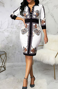 Multicolor Printed Luxe Long Sleeve Collect Waist Hip Dress SMR10720