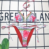 Floral Printed Bikini 2 Piece Swimwear