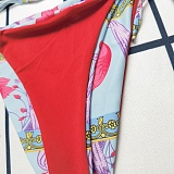 Floral Printed Bikini 2 Piece Swimwear