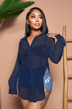 WHOLESALE |  Chiffon Fabric Side Split Shirt in Blue