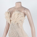 WHOLESALE | Back Zip Up Feather Deco Fake Pearl Dress