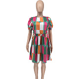 WHOLESALE | Digital Printed Back Zip Up Dress