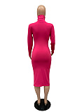 WHOELSALE | Turtle Neck Long Dress in Solid Color