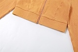 SUPER WHOLESALE |  Pit Fabric Crop Tracking Top & Legging Bottom