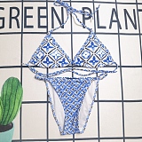 LV Pattern Printed  Bikini 2 Piece Swimwear