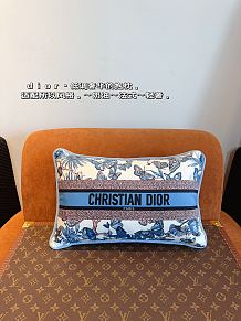 SUPER WHOLESALE |  DIOR Butterfly Pillow