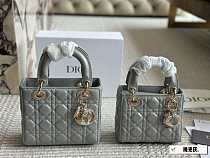 SUPER WHOLESALE | Mini Lady Dio r Shoulder Bag
