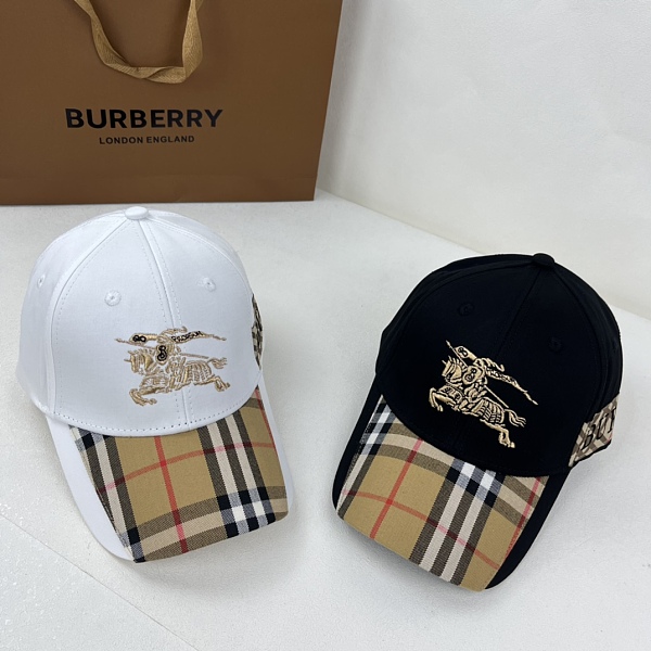 SUPER WHOLESALE | Bur berry  Two Tones Cap