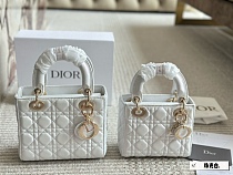 SUPER WHOLESALE | Mini Lady Dio r Shoulder Bag
