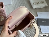 SUPER WHOLESALE | Mini Lady Dio r Shoulder Bag