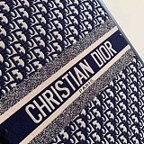 Christian Dior Luggage/Suitcase