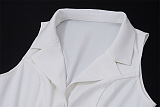 SUPER WHOLESALE | Pleated Skirt 2 Pieces Set in White