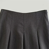 SUPER WHOLESALE | Pleated Mini Skirt in Grey